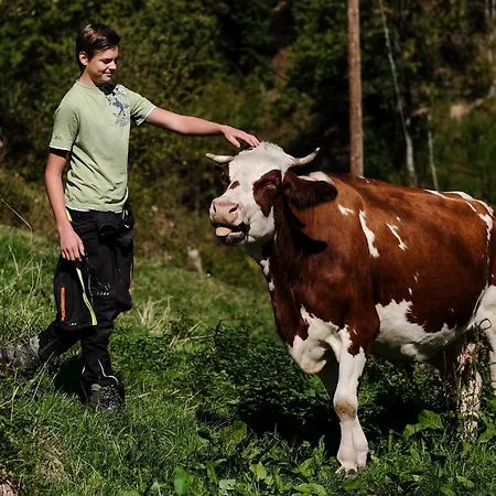 Giedensbach Lejlighed