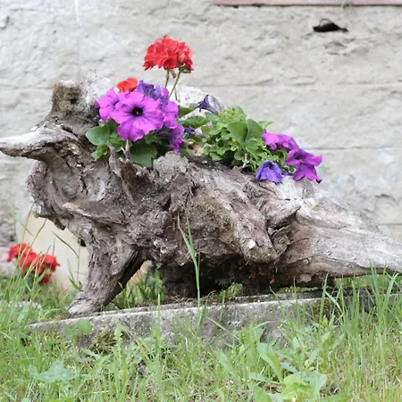 Giedensbach 아파트 오버키르히