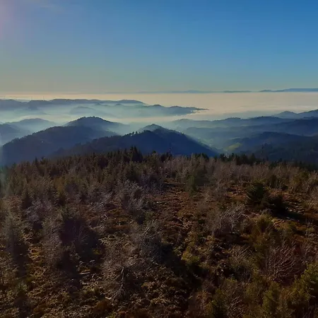 Giedensbach Lejlighed