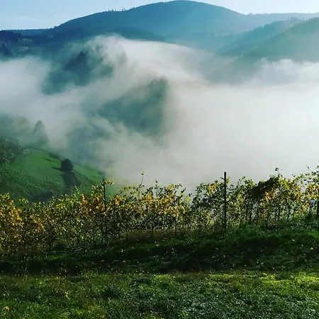 아파트 Giedensbach