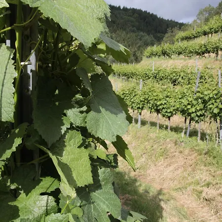 Lejlighed Giedensbach Oberkirch (Baden)