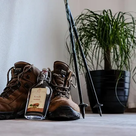 Giedensbach Appartement *