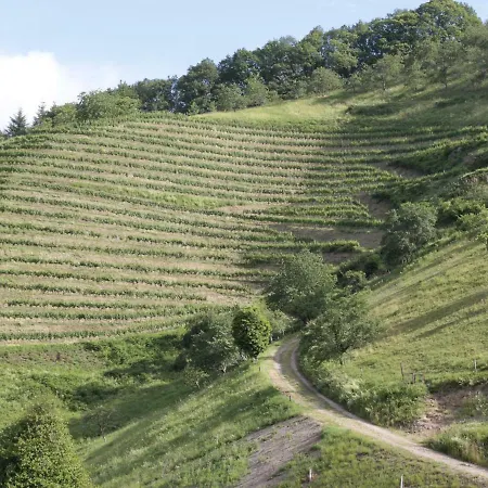 Giedensbach Oberkirch (Baden)