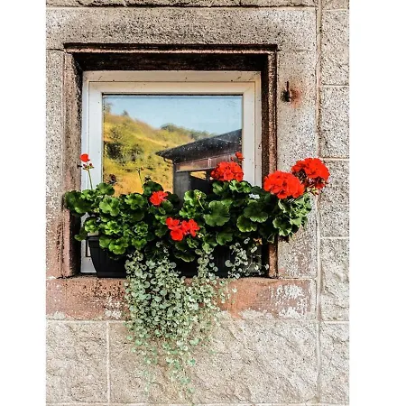 Giedensbach Appartement Oberkirch (Baden)