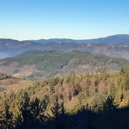 Giedensbach Oberkirch (Baden)
